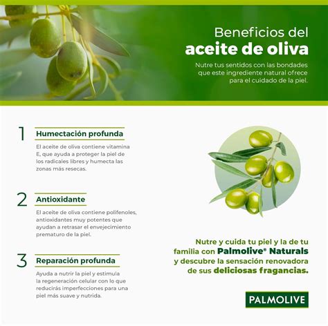 Los beneficios del aceite de oliva descubre por qué es bueno para tu salud