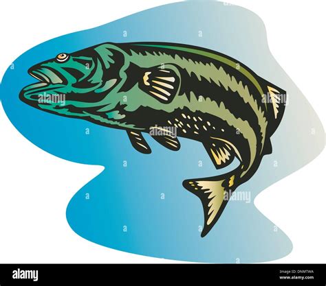 Illustration Of A Largemouth Bass Jumping Done In Retro Style Stock Vector Image And Art Alamy