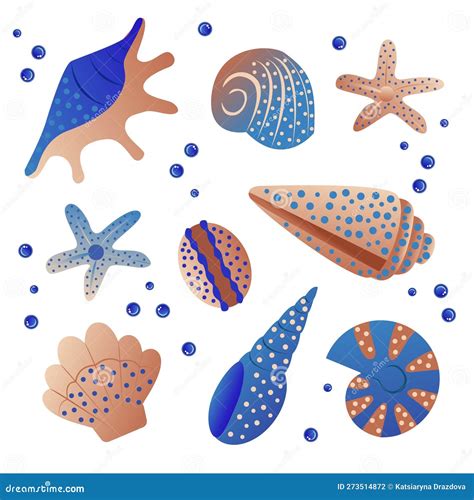 Colorful Tropical Shells Underwater Icon Set Frame Of Sea Shells