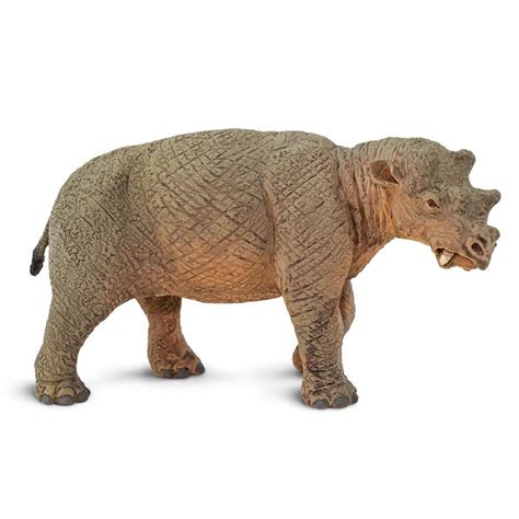 Safari Animal Figures, Shop All Safari Ltd | Radar Toys