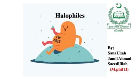 Halophiles (Introduction, Adaptations, Applications)