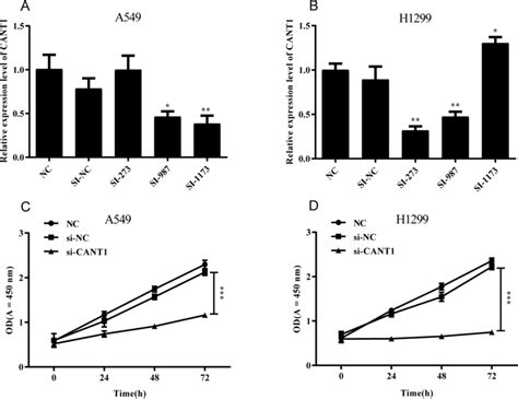 Sirnas Effect Examination And Cell Proliferation Capacity Comparison