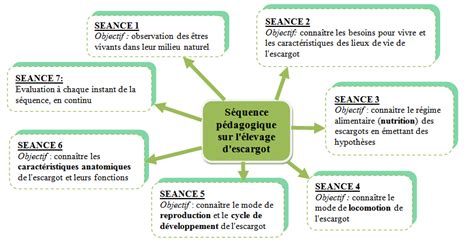 Jeu Des Escargots Confusion Pdb Pub