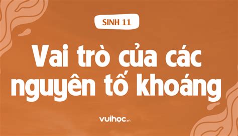 Sinh 11 Bài 4 Vai Trò Của Các Nguyên Tố Khoáng Thiết Yếu Trong Cây