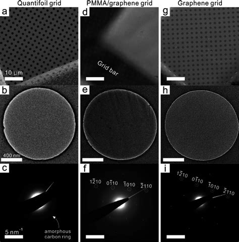 Batch Production Of High Quality Graphene Grids For Cryo EM Cryo EM