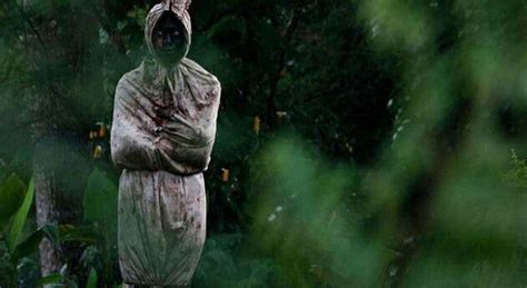 2 Alasan Pohon Pisang Jadi Tempat Nongkrong Favorit Pocong