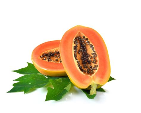 Papaya Fruit Extract Carica Papaya Supplement