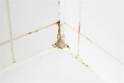 How To Remove Black Mould From Silicone Sealant Groom Property