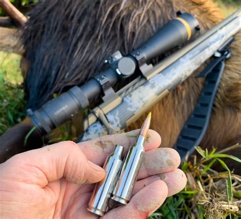 The Best Caliber For Elk Hunting In North American Deer Hunter