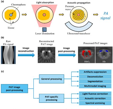 Figure From Advanced Image Post Processing Methods For Photoacoustic