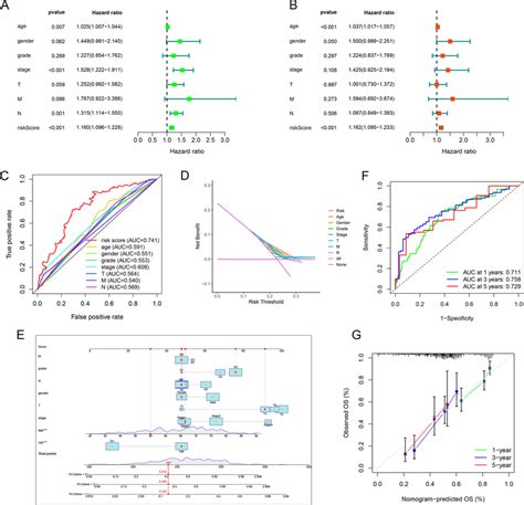 Independent Prognostic Value Of The Risk Model A Univariate And B