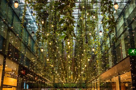 tree, night, illuminate, dangling light, retail mall, lobby, office ...