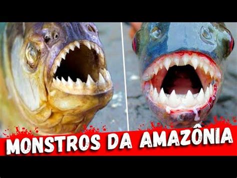 Os 10 MONSTROS DOS RIOS Mais ASSUSTADORES da Amazônia YouTube