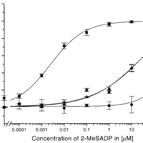 Concentration Response Curves Of P Y Receptors With Mutated Residues