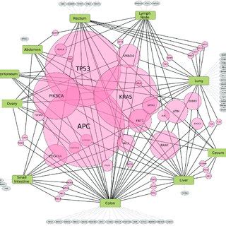 Map Of Mutation Frequencies And The Interactome In Relapsed And