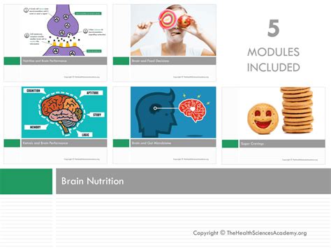 Join Our Brain Nutrition Continuing Education Training The Health Sciences Academy