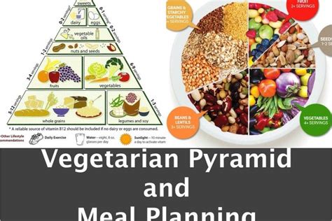 Vegetarian Diet Food Pyramid & Meal Planning | Meal planning, Vegetarian diet, Food