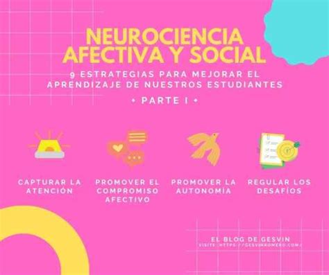 Funciones De La Neurociencia Educativa Gesvin Romero