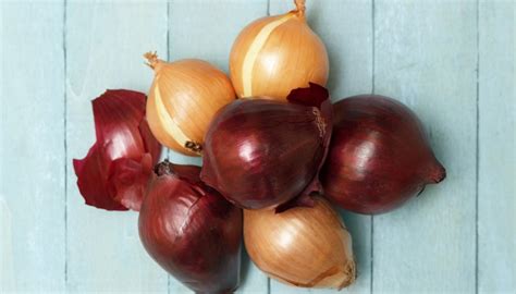 List of Onion Varieties | Garden Guides