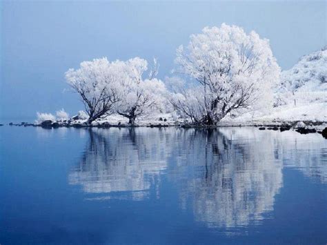 Fondos De Pantalla Rboles Lago Agua Reflexi N Nieve Invierno