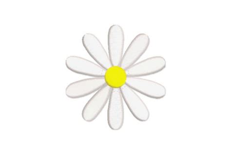 Daisy Flower · Creative Fabrica