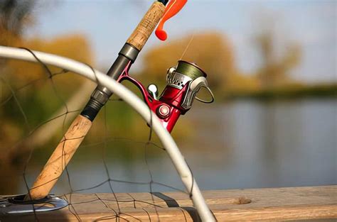 Tips on Buying Fishing Reels | MissHomemade.com