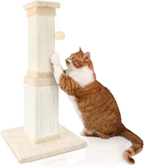 Agym Cat Scratching Post Inch Cat Scratching Post For Large Cats