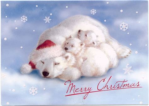 Christmas In April A Cute Card Polar Bear Christmas Images And Bears