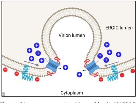 Figure 1 From Oligomerization Dependent Beta Structure Formation In