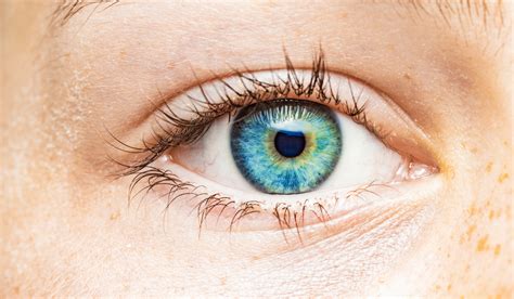 Your Eye Color, Explained | Discover Magazine