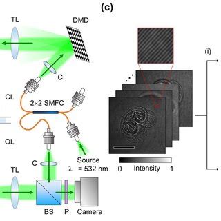 Reconstruction Of A Three Dimensional D Refractive Index Ri Map