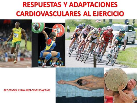 Entrenamiento Deportivo Para La Salud RESPUESTAS Y ADAPTACIONES