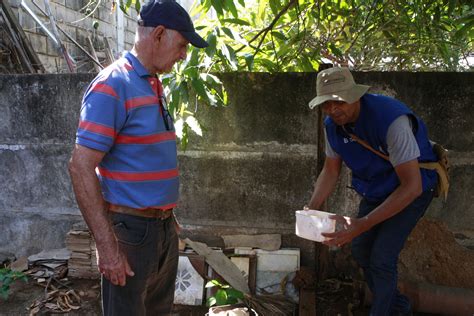 Uberl Ndia Tem De Infesta O Do Aedes Aegypti E Est Em Situa O