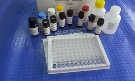 人细胞色素p450家族成员24a1cyp24a1elisa试剂盒 品牌雅吉生物 上海 Chemicalbook