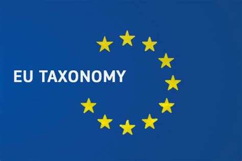 La Taxonomie Verte Europ Enne Guide Pour Les Entreprises Tapio