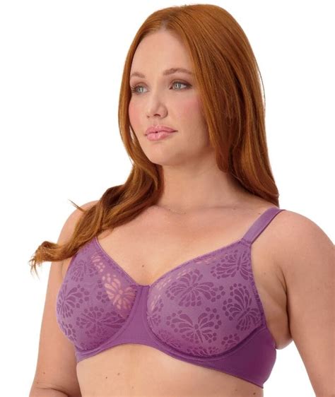 Triumph Lacy Minimizer 2 Pack Bra Nuit Amethyst Curvy