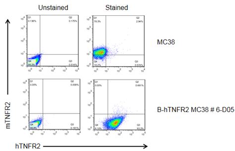 B Htnfr2 Mc38biocytogen Pharmaceuticals Beijing Co Ltdbiocytogen