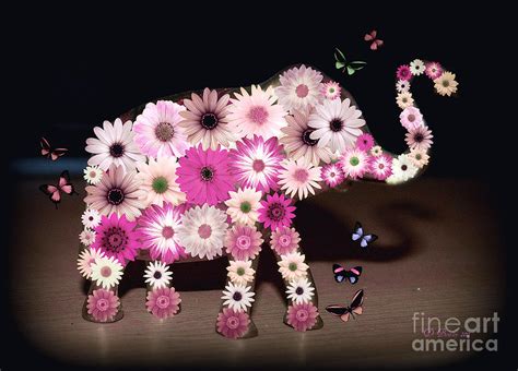 Daisy Elephant Photograph by Donna Bentley - Fine Art America