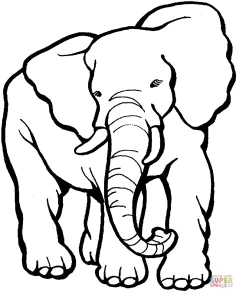 Dibujo De Elefante Adulto Para Colorear Dibujos Para Colorear Imprimir Gratis