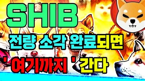 시바이누 전량 소각 완료되면 이제 여기까지 간다 시바이누코인 시바이누코인전망 시바이누코인분석