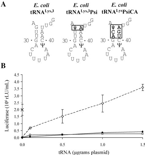 Figure From Nucleotides Within The Anticodon Stem Are Important For