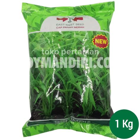 Jual Benih Kangkung Daun Sempit Serimpi 1 Kg Shopee Indonesia