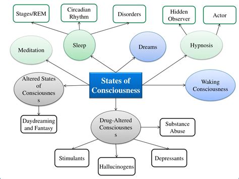 Ppt Unit Sensation Perception And States Of Consciousness