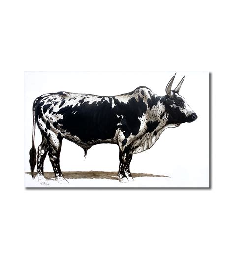 Nguni Black And White Wildlife Art Studio