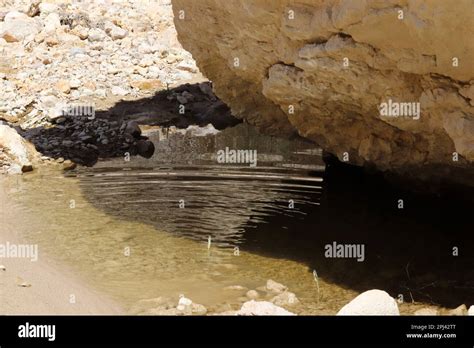 Puddle Of Rain Water Still Water Stock Photo Alamy