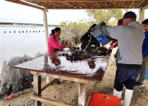 RECONOCE SEPADA LABOR DE LAS MUJERES EN LA ACUACULTURA SECRETARÍA DE