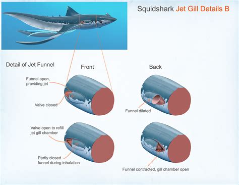 Alex Ries Subnautica Below Zero Squidshark