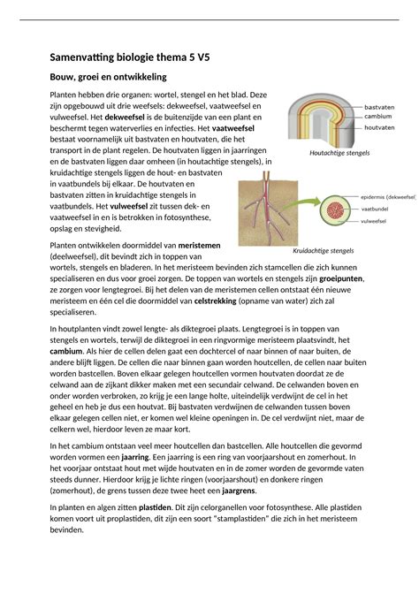 Samenvatting Biologie Voor Jou Vwo Thema T M Regeling