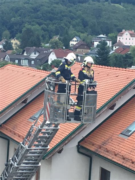 Tierrettung Hund stürzt ab Freiwillige Feuerwehr Purkersdorf