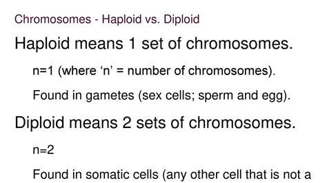 Meiosis Notes Biology Ms Spinale Ppt Download